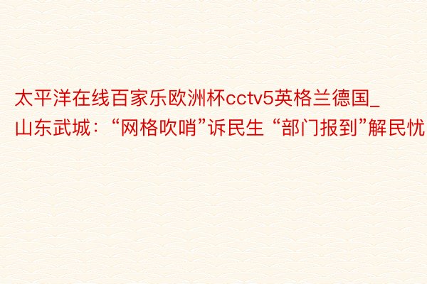 太平洋在线百家乐欧洲杯cctv5英格兰德国_山东武城：“网格吹哨”诉民生 “部门报到”解民忧